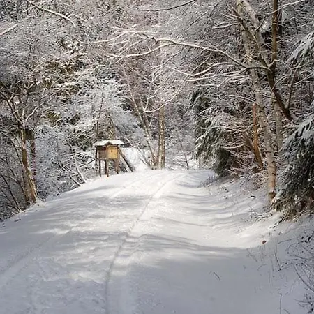 Holiday home Doppelhaushaelfte In *